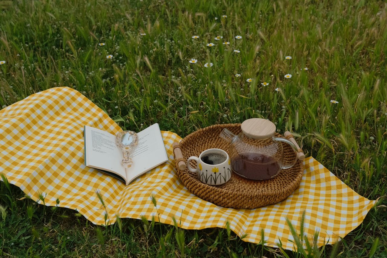 Cozy picnic scene with tea and book on yellow gingham in grassy field.